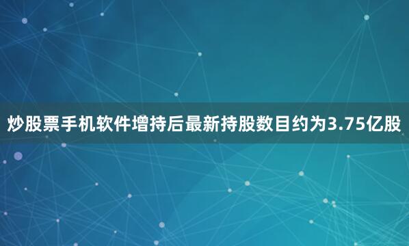 炒股票手机软件增持后最新持股数目约为3.75亿股