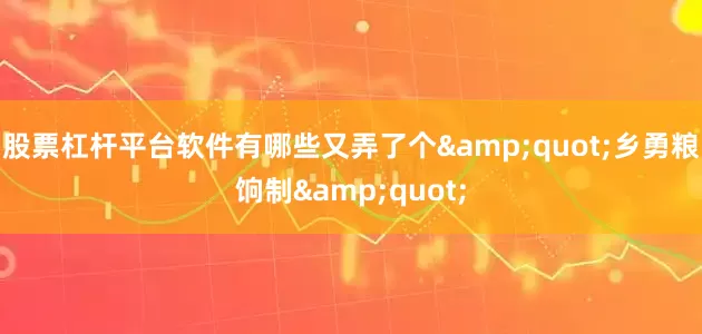 股票杠杆平台软件有哪些又弄了个&quot;乡勇粮饷制&quot;